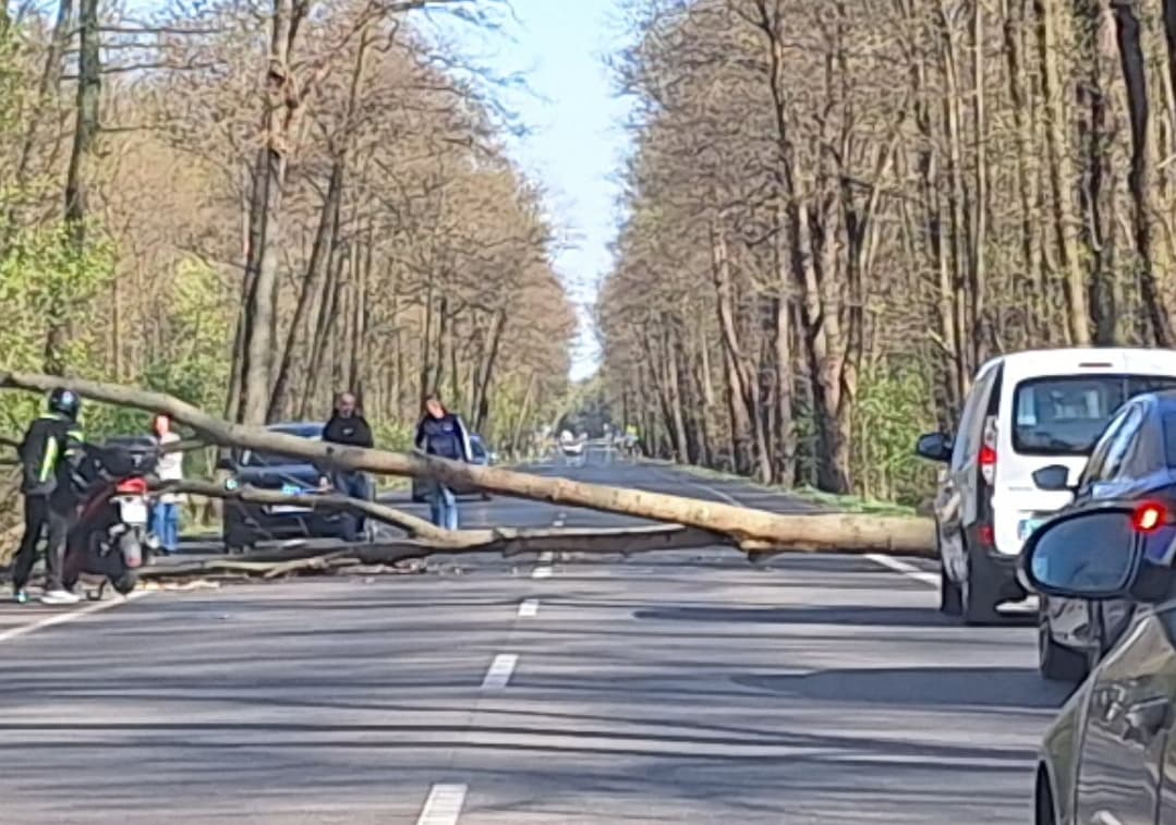 Zupełnie niedawno taka historia na mojej drodze...